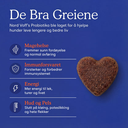 Naturlig Probiotika Chews