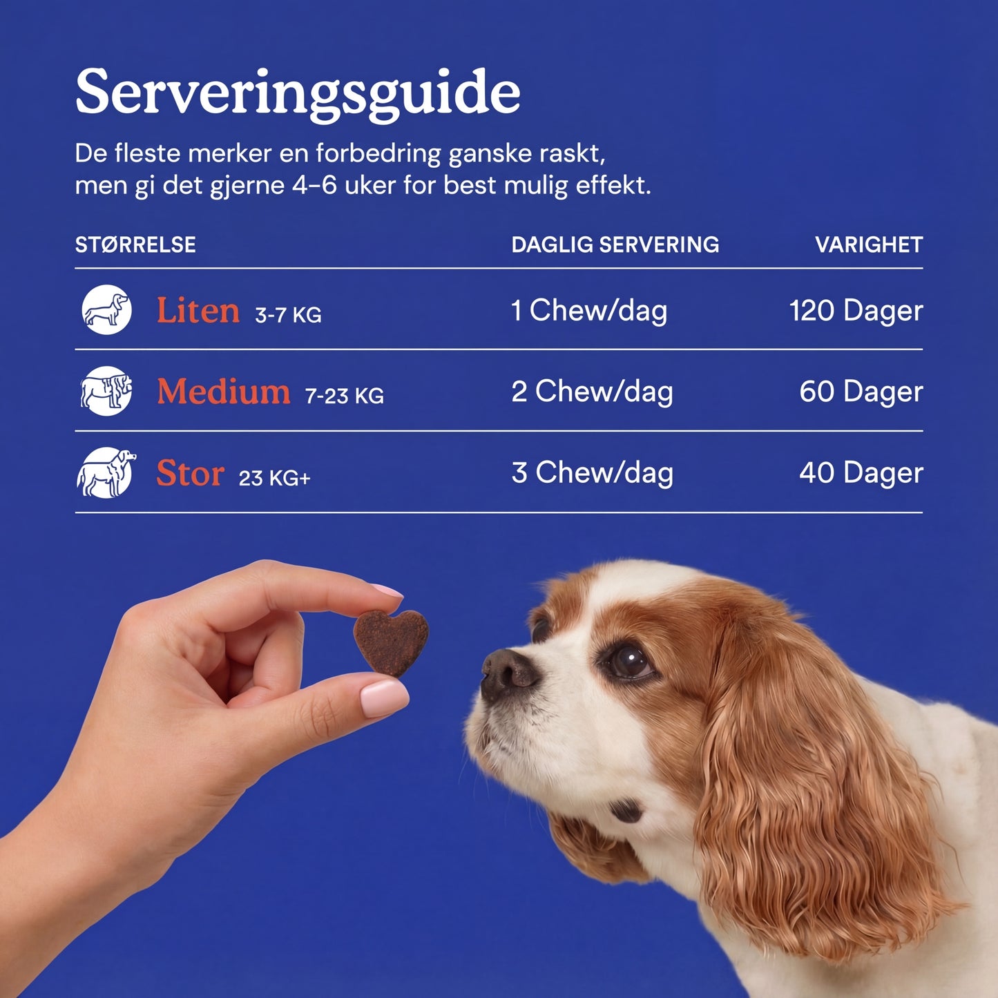 Naturlig Probiotika Chews